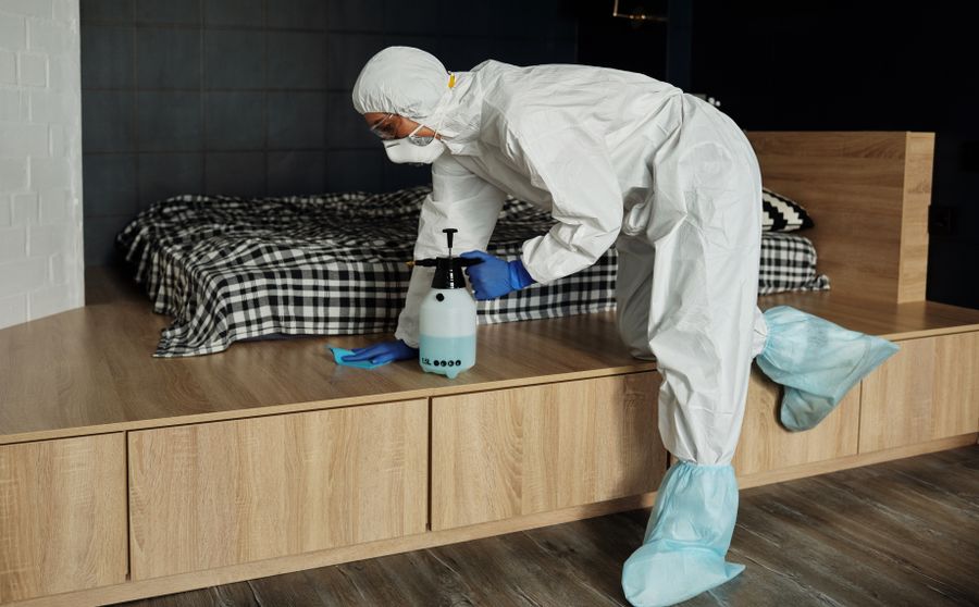 Water Damage and Mold in California