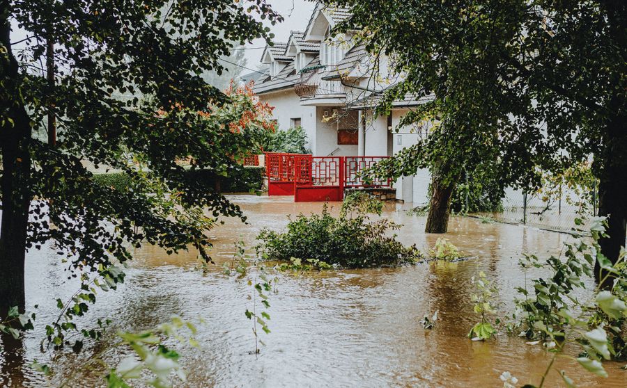 Water Damage and Mold in Connecticut