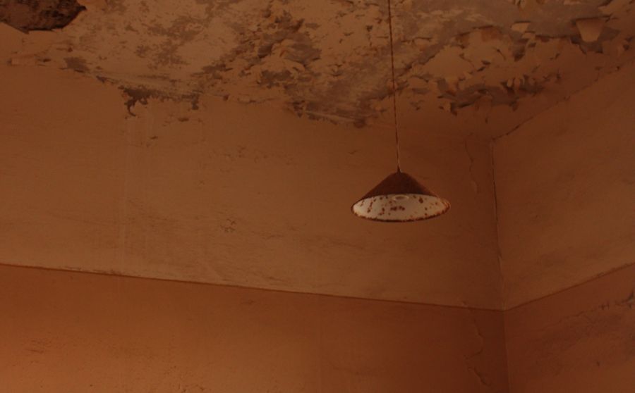 Water Damage and Mold in Florida