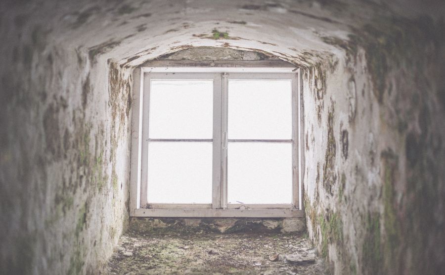 Mold Inspection and Testing