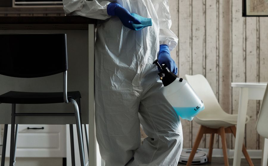 Mold Remediation