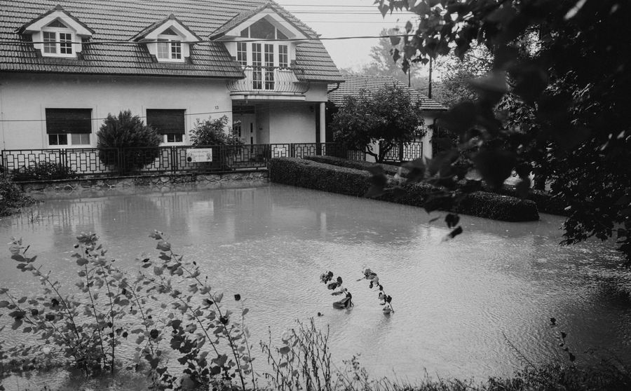 Water Damage and Mold in North Carolina