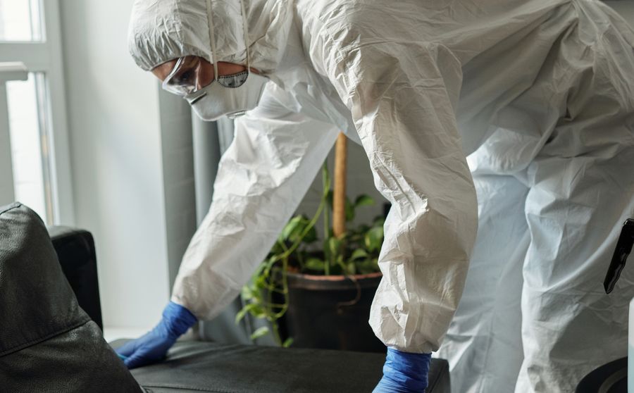Water Damage and Mold in Texas