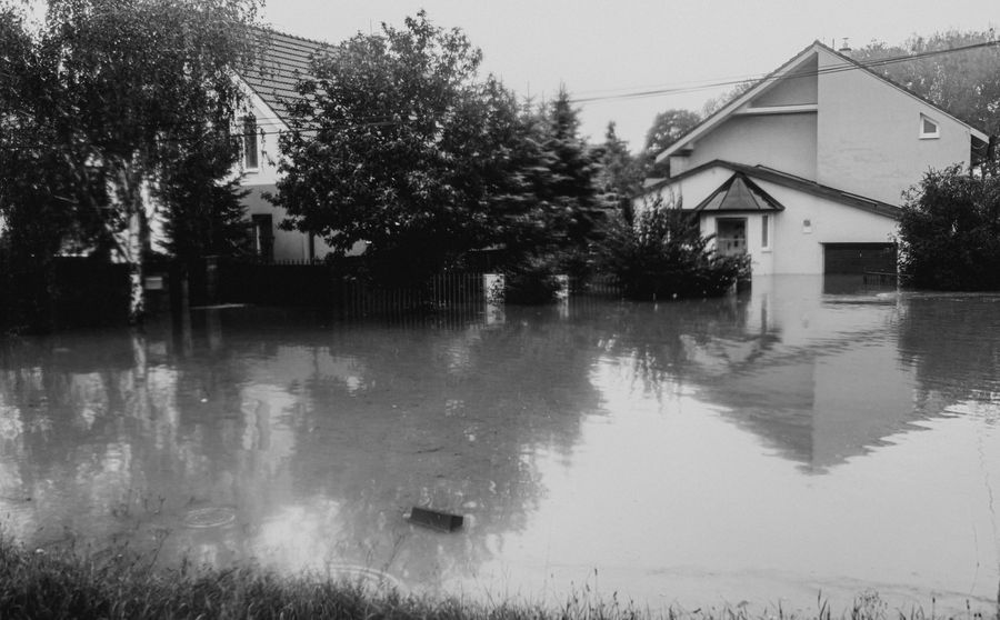 Water Damage and Mold in Virginia