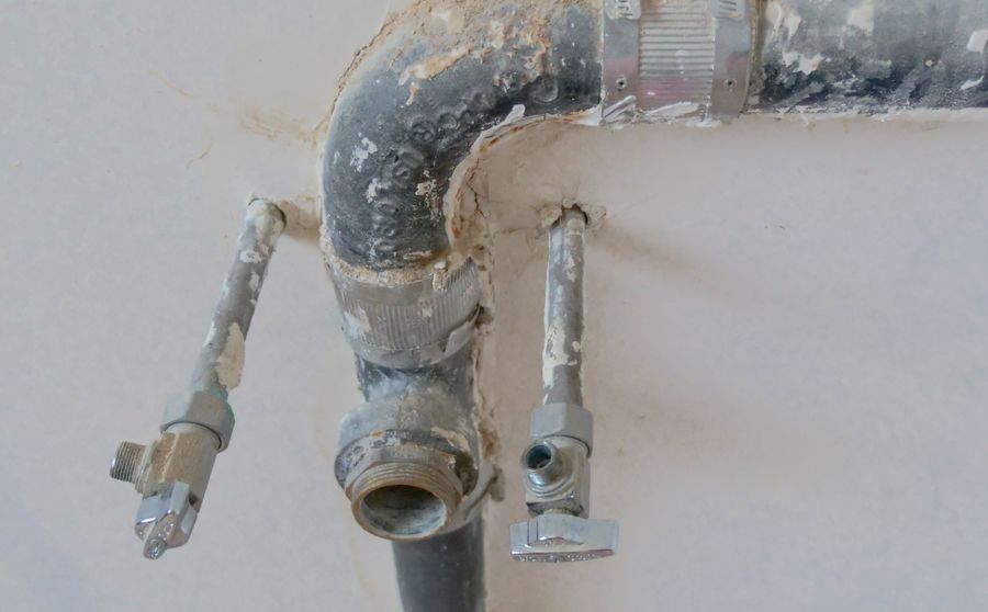 Water Damage and Mold in Washington