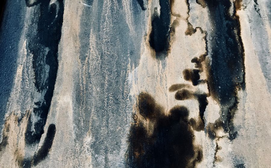 Mold Inspection and Testing